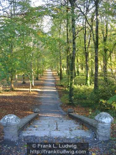 Coole Park, County Galway